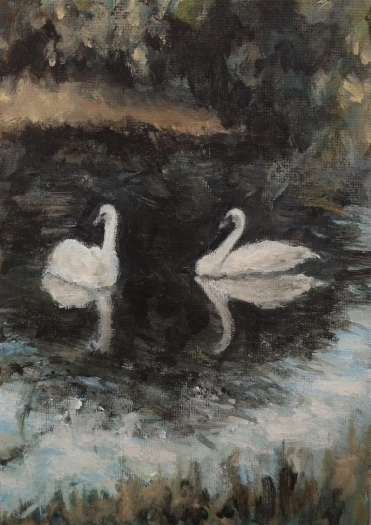 Swans