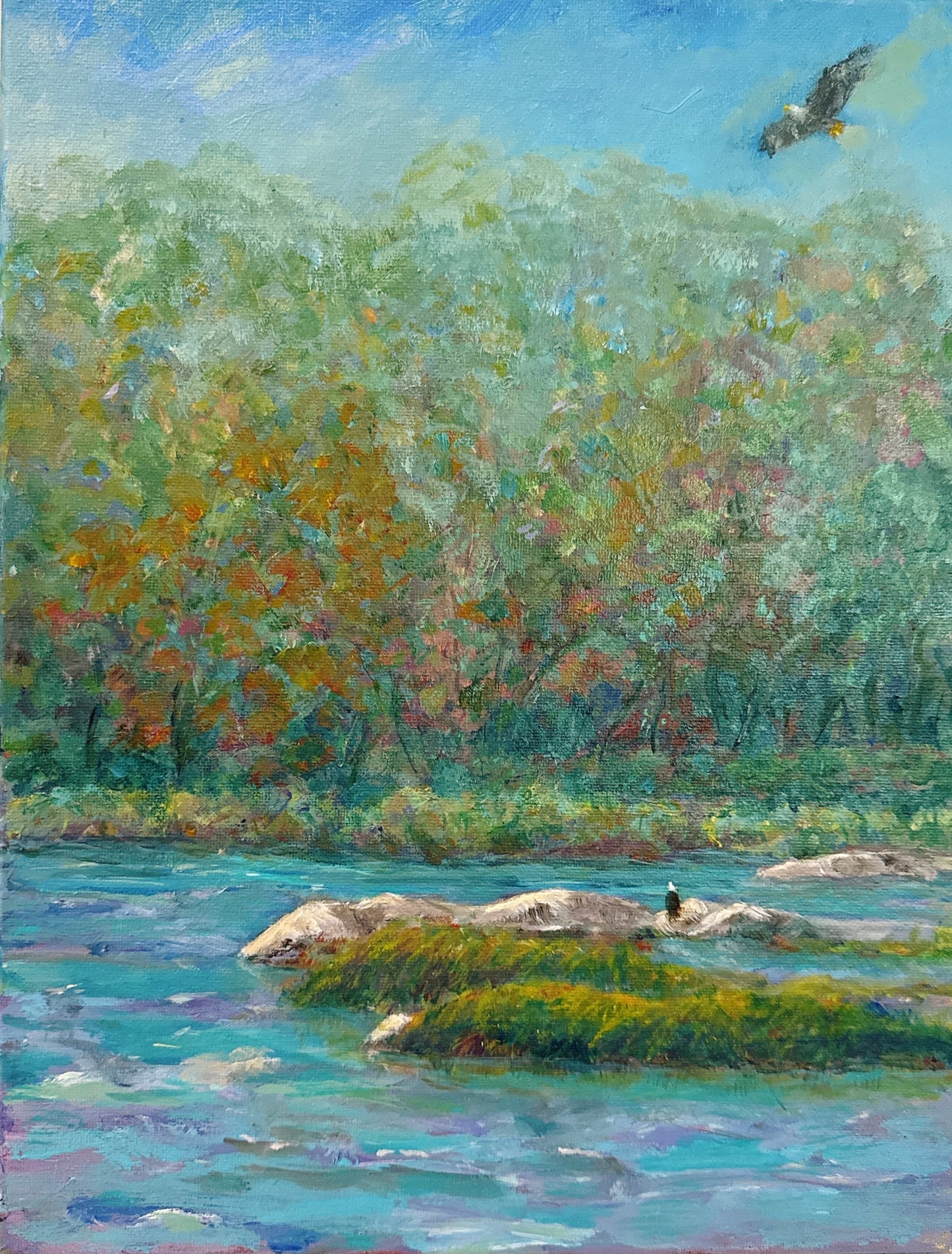 Home on the James