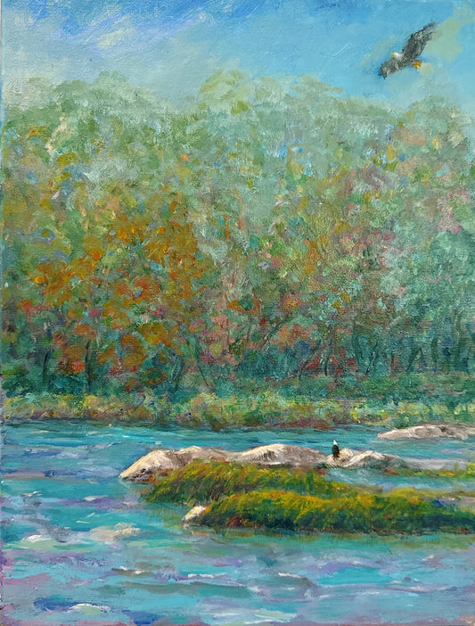 Home on the James