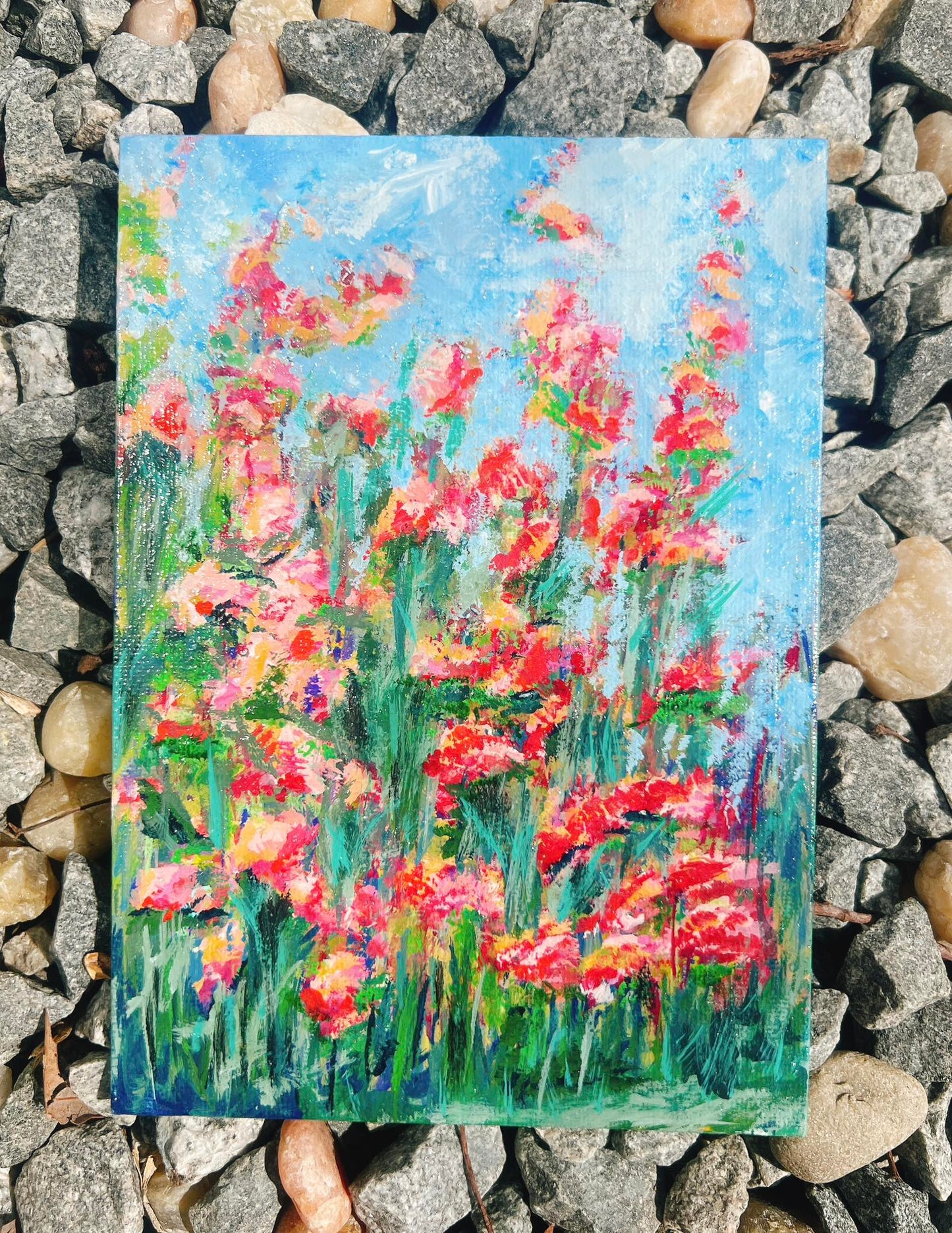 Field of Pink Flowers