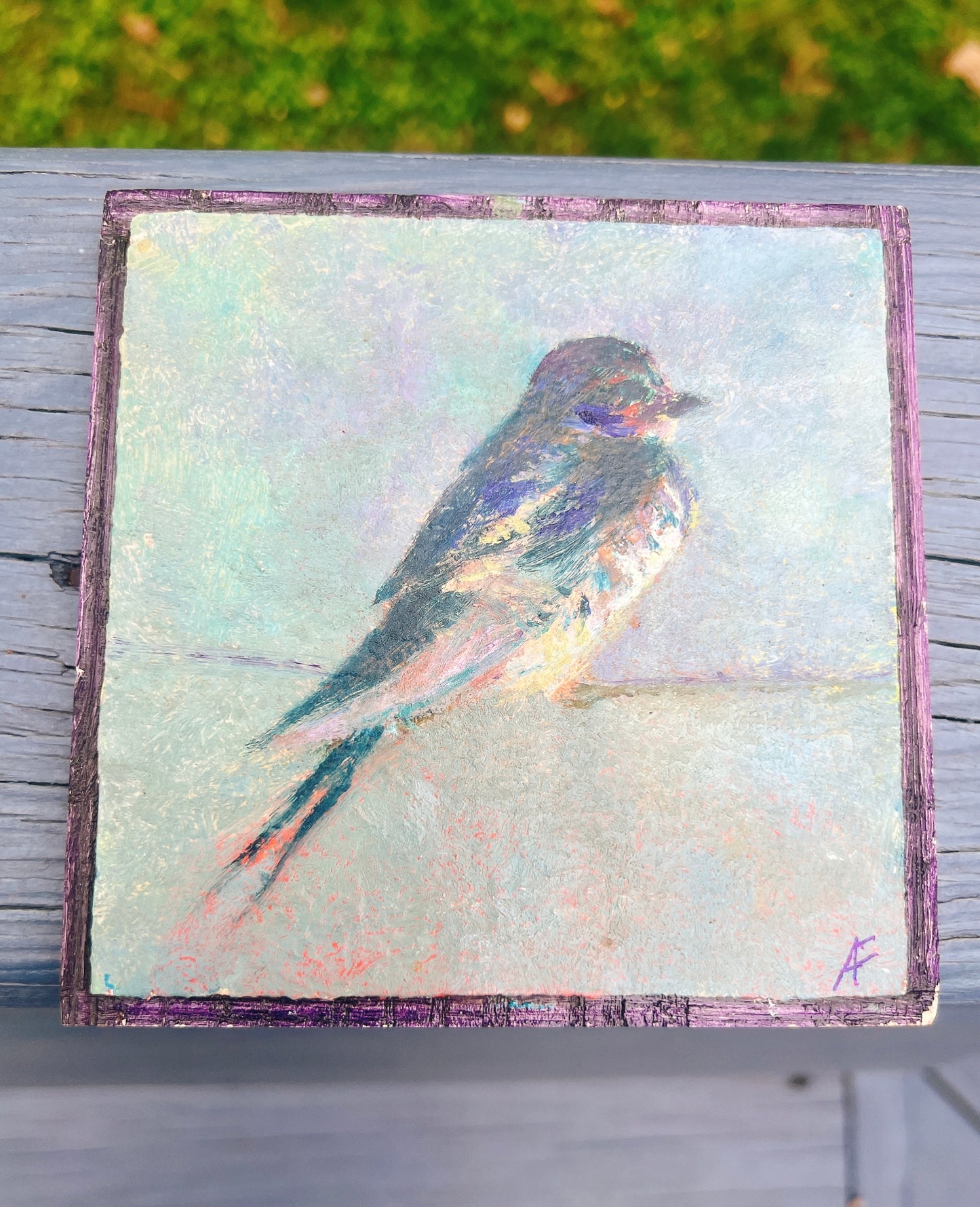 Virginia Barn Swallow