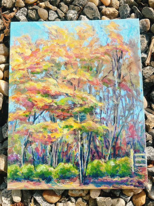 Autumn at Scotchtown