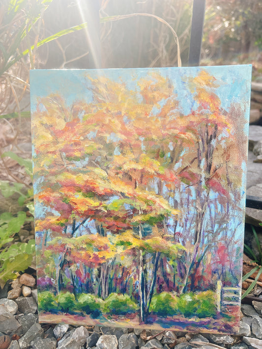 Autumn at Scotchtown