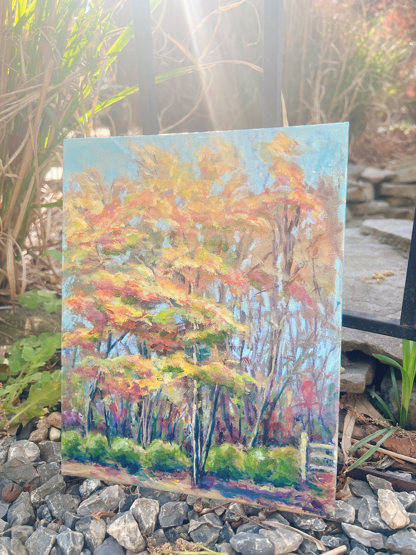 Autumn at Scotchtown