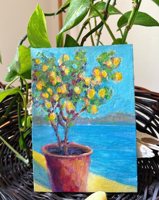 Pear Tree Pot