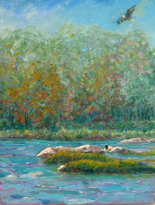 Home on the James