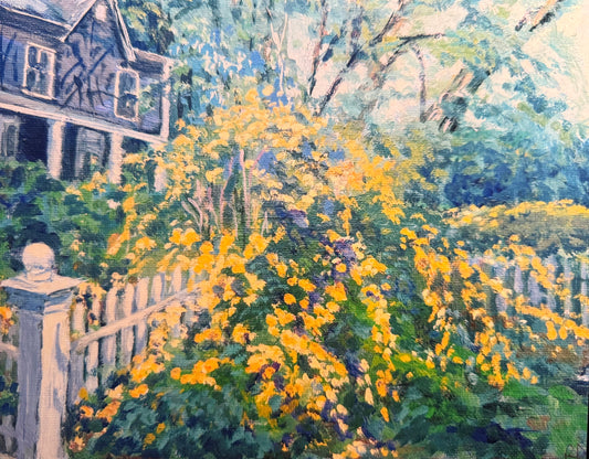 Garden in Spring
