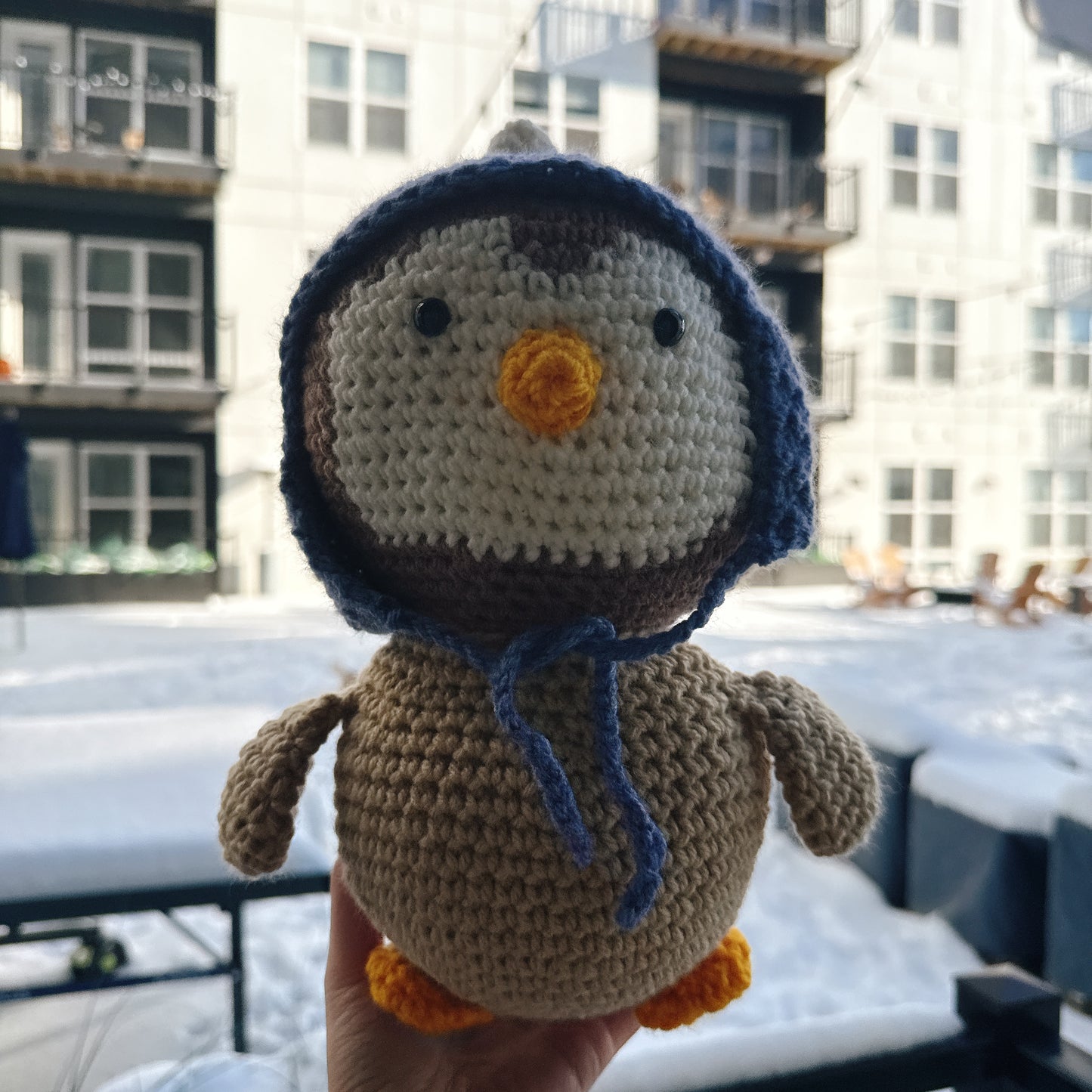 Penguin wearing a blue wool hat