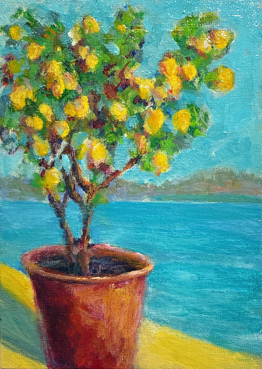 Pear Tree Pot
