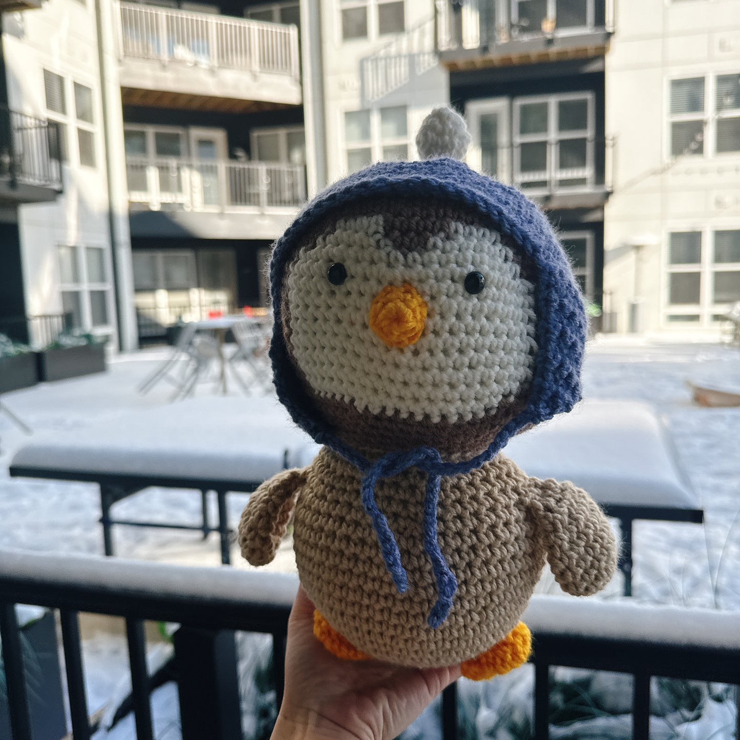 Penguin wearing a blue wool hat