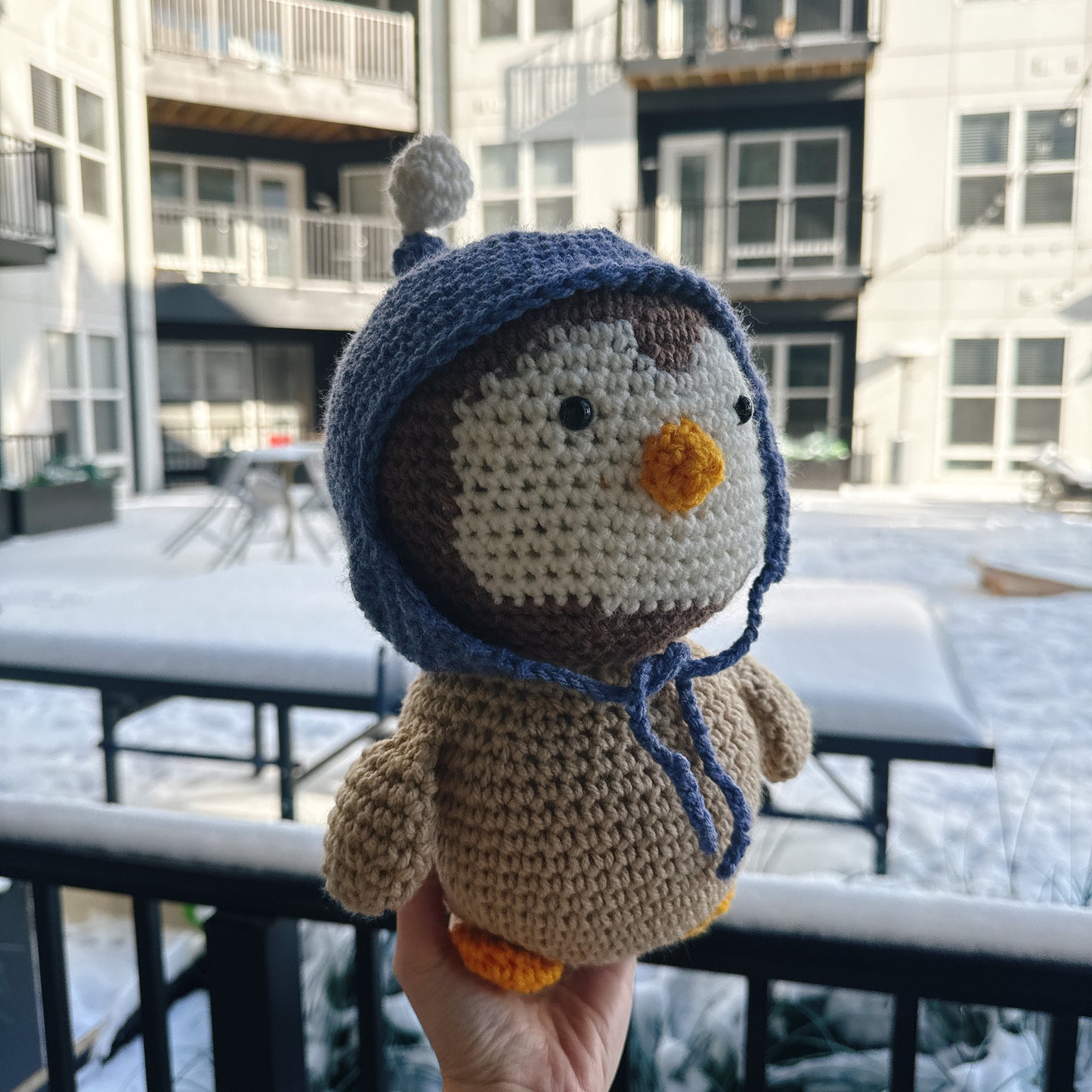 Penguin wearing a blue wool hat