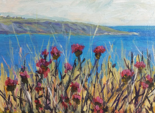 Thistle on the Coast