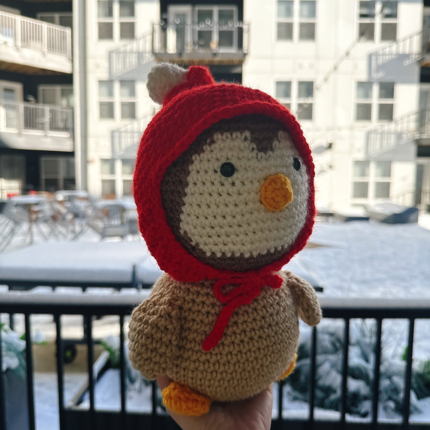 Penguin wearing a red wool hat