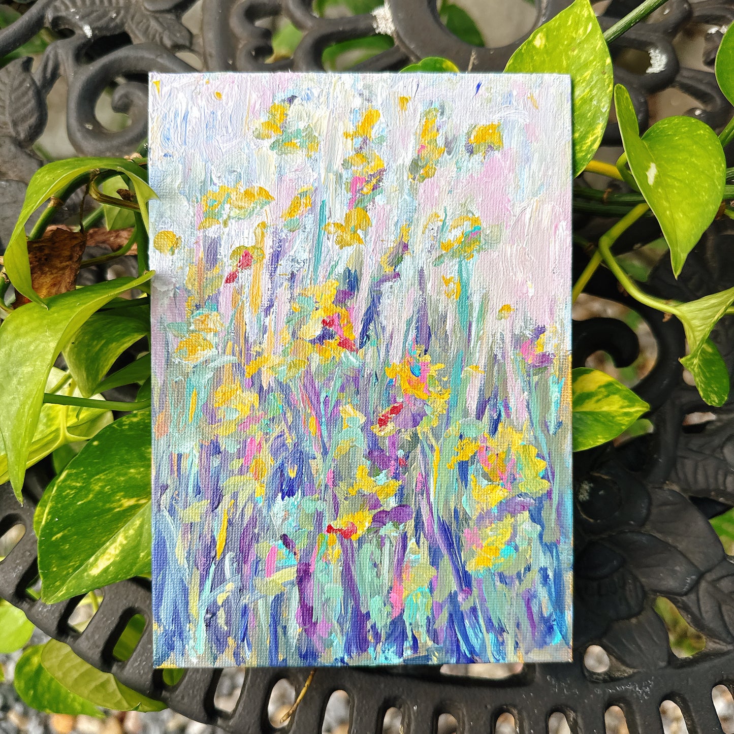 Summer Meadow