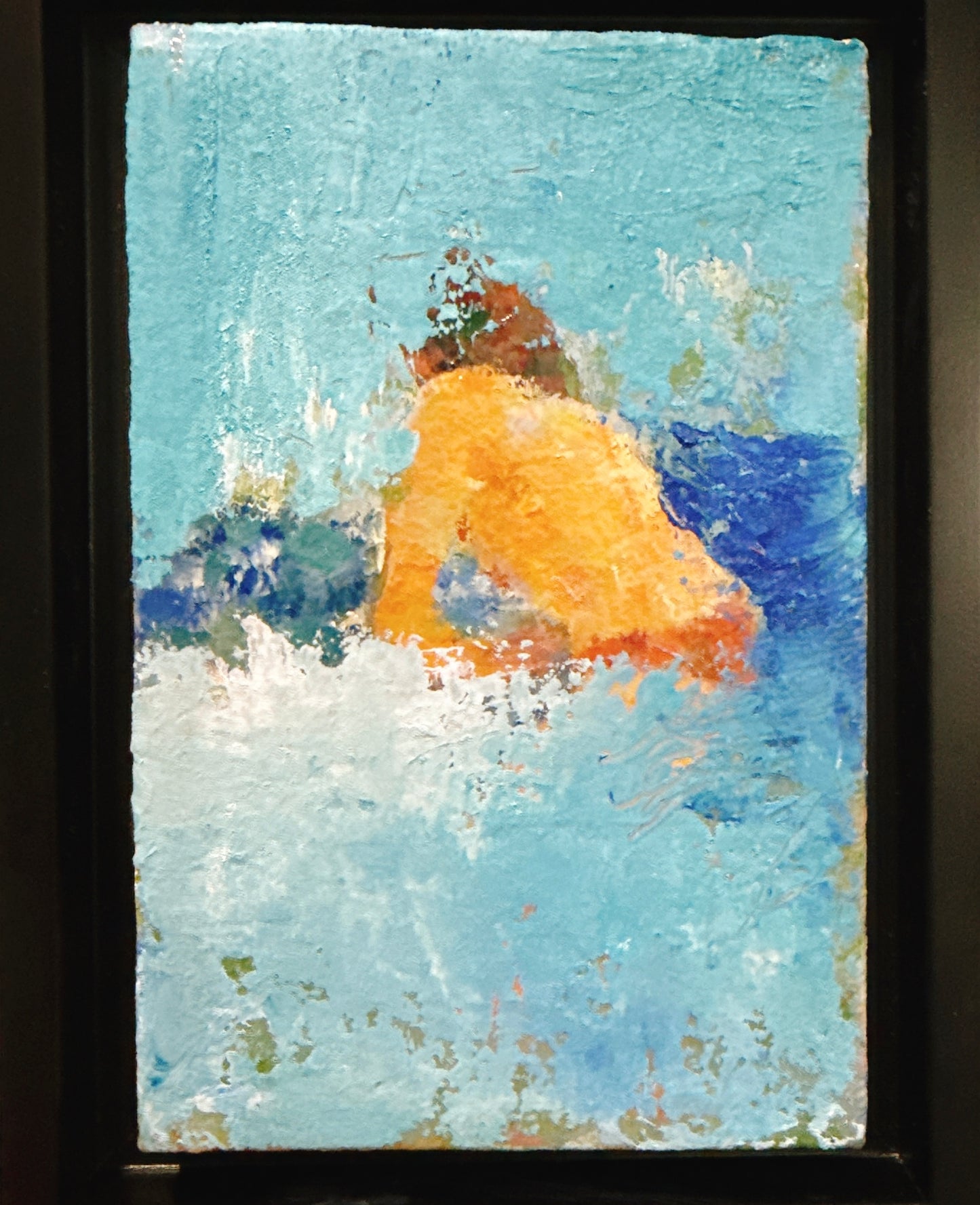 The swimmer