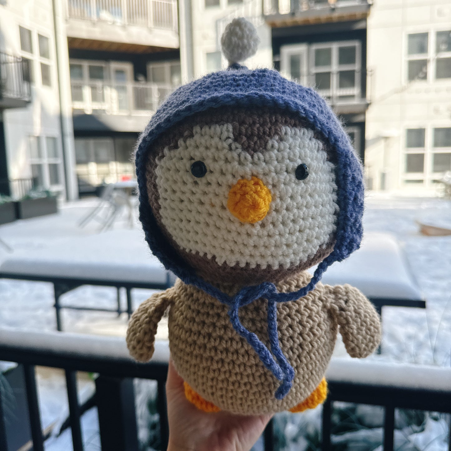 Penguin wearing a blue wool hat