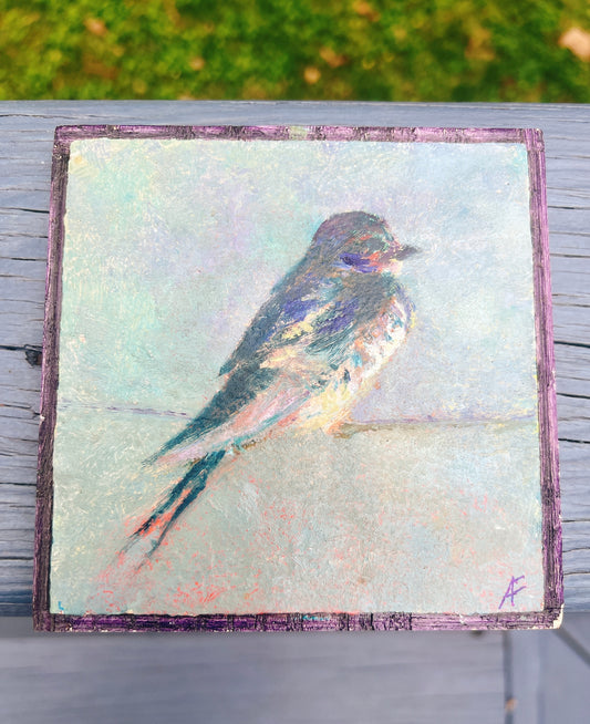 Virginia Barn Swallow