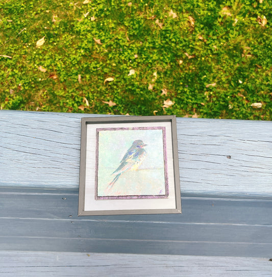 Virginia Barn Swallow